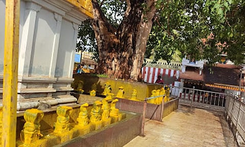 நாக வழிபாட்டின் நன்மை