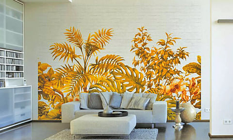 வீட்டு சூழலை மகிழ்ச்சியாக்கும் வண்ண படங்கள்