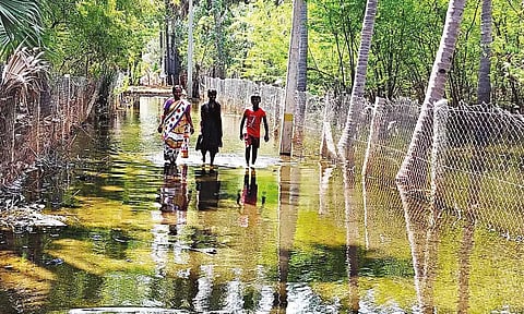 வட்டன்விளை கிராமத்துக்கு செல்லும் சாலையில் தேங்கிய தண்ணீரில் நடந்து செல்லும் கிராம மக்கள்