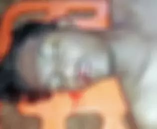 வருசநாடு அருகே யானைகஜம் பகுதியில் குளிக்க சென்ற கல்லூரி மாணவர் பலி