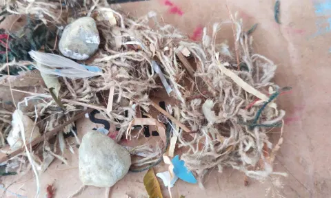 வக்கீல் வீடு மீது நாட்டு வெடிகுண்டு வீச்சு