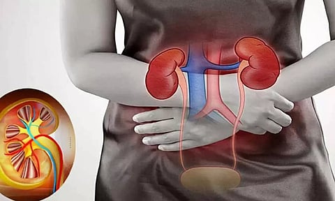 சிறுநீரக கற்கள் பிரச்சினைக்கான சித்த மருத்துவ தீர்வு, உணவுமுறை