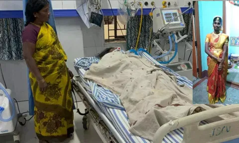 ஒற்றை யானை தாக்கி பெண் படுகாயம்