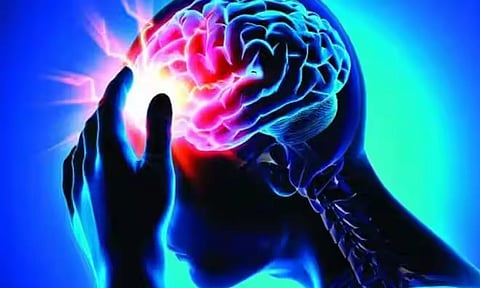 மூளை எப்படி இயங்குகிறது, அதன் செயல்பாடுகள் எப்படி இருக்கும்