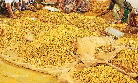 ஒரே மாதத்தில் ரூ.3 ஆயிரம் உயர்ந்தது: மஞ்சள் விலை குவிண்டால் ரூ.16 ஆயிரத்துக்கு விற்பனை