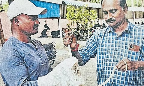 பள்ளி வகுப்பறையில் புத்தக பையில் பதுங்கி இருந்த பாம்பு: மாணவர்கள்-ஆசிரியர்கள் அலறியடித்து ஓட்டம்