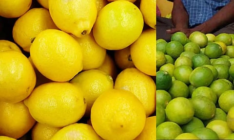 சுட்டெரிக்கும் வெயில்- எலுமிச்சை கிலோ ரூ.150 ஆக அதிகரிப்பு