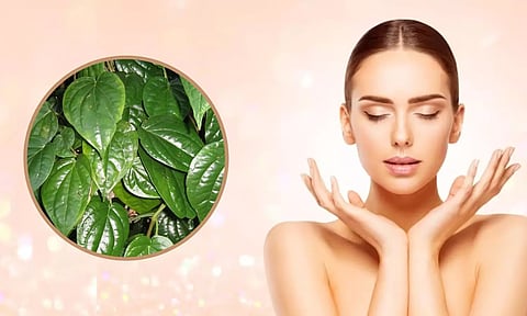 பருக்களை விரட்டும் வெற்றிலை ஃபேஸ் பேக்