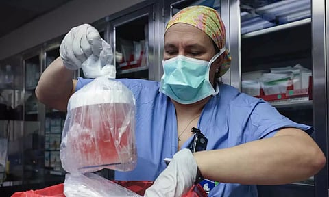 பன்றியின் கிட்னியை மனிதனுக்கு வெற்றிகரமாக பொருத்தி மருத்துவர்கள் சாதனை