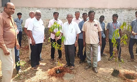 பிளஸ்-2 தேர்வு முடித்து 100 மரக்கன்றுகள் நட்ட அரசு பள்ளி மாணவர்கள்