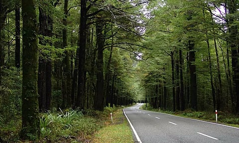 இந்தியாவிலேயே முதல்முறையாக தனியார் காடுகளை விலைக்கு வாங்கிய வனத்துறை