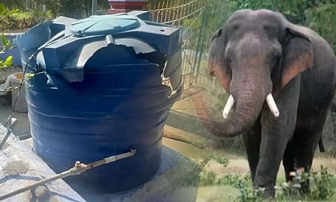 கோவிலுக்குள் புகுந்து காட்டு யானைகள் அட்டகாசம்: தண்ணீர் டேங்க்-போர்வெல் உடைத்து சேதம்