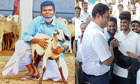 "ஆட்டைக் கொடுமை படுத்தாமல் பிரியாணி செய்யுங்கள்" - அண்ணாமலை வேண்டுகோள்