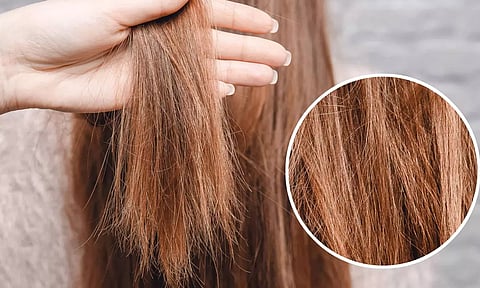 கூந்தல் வறண்டு போகாமல் தடுக்க இதை செய்தாலே போதும்!