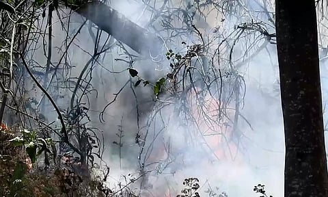 கொடைக்கானல் அருகே பூம்பாறை வனப்பகுதியில் காட்டுத்தீயால் வாகன ஓட்டிகள் அச்சம்