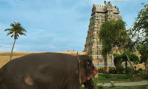 திருவானைக்காவல் ஜம்புகேசுவரர் கோவில்