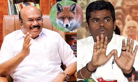 "அண்ணாமலை ஒரு வால் அறுந்த நரி" - எடப்பாடி குறித்த விமர்சனத்துக்கு ஜெயக்குமார் பதிலடி