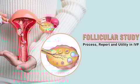 ஃபோலிகுலர் ஸ்கேன் என்றால் என்ன?