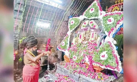 கிருத்திகை வழிப்பாட்டில் தருமபுரம் ஆதீனம் சாமி தரிசனம் செய்தனர்.