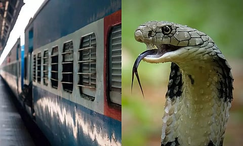 குருவாயூர்-மதுரை விரைவு ரெயிலில் பயணியை கடித்த பாம்பு