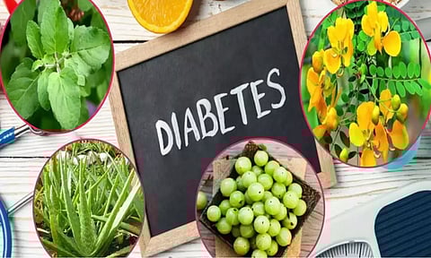 நீரிழிவு நோய் பாதிப்பை கட்டுப்படுத்தும் மூலிகைகள்!