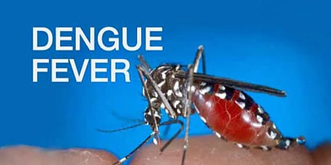 கடந்த 4 மாதங்களில் பிரேசிலில் டெங்கு காய்ச்சலுக்கு 1,600 பேர் பலி