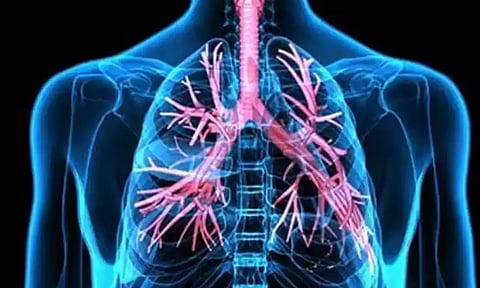 நாம் சுவாசிக்கும் போது நுரையீரல் எப்படி செயல்படுகிறது?