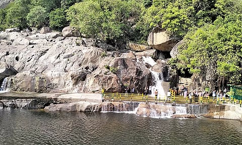 4 மாதங்களுக்கு பிறகு இன்று முதல் அனுமதி: மணிமுத்தாறு அருவியில் குளிக்க குவிந்த சுற்றுலா பயணிகள்