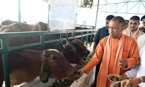 சிறுபான்மையினருக்கு மாட்டிறைச்சி உண்ணும் உரிமையை அளிக்க காங்கிரஸ் விரும்புகிறது: யோகி ஆதித்யநாத்