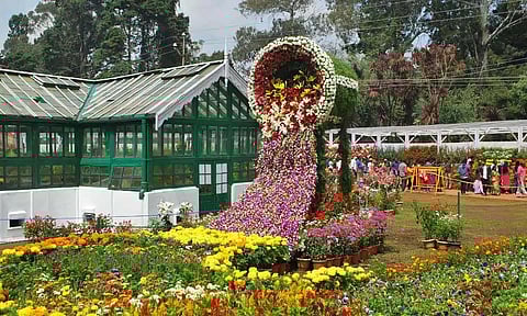 முன்கூட்டியே தொடங்குகிறது ஊட்டி மலர் கண்காட்சி - எப்போது தெரியுமா?