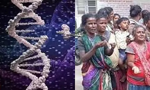 நரிக்குறவ மக்களுக்கு புதிய வகையான மரபணு கண்டுபிடிப்பு- இளம் வயதில் இதயநோய் ஏற்படும் அபாயம்
