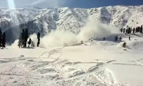 காஷ்மீரின் சோனாமார்க் பகுதியில் உள்ள சர்பால் என்ற இடத்தில் பெரும் பனிச்சரிவு