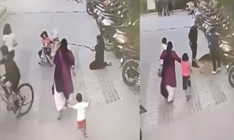 சிறுமியைக் கடித்த ஜெர்மன் ஷெப்பர்டு - வீடியோ வைரல்