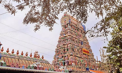 துயரங்களை போக்கும் வன்னி மரம்