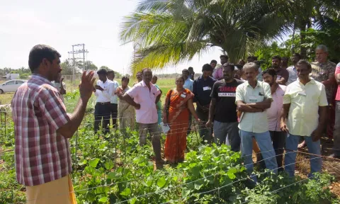 விவசாய நிலங்களையும், இந்து கோவில்களையும் யானை வழித்தடமாக மாற்ற முயற்சி- விவசாயிகள் கண்டனம்
