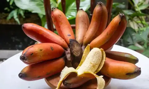 செவ்வாழை பழத்தை எப்போது சாப்பிட வேண்டும்?