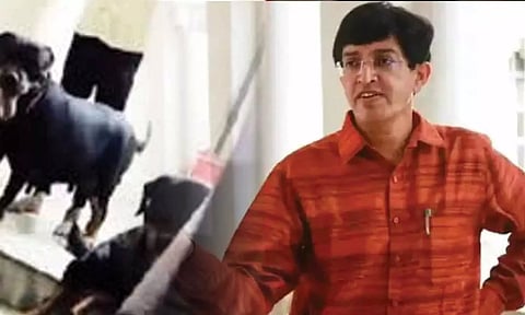 ஆபத்தான முறையில் வளர்ப்பு நாய்கள் சுற்றித்திரிந்தால் 1913 எண்ணில் புகார் செய்யலாம்- ராதாகிருஷ்ணன்