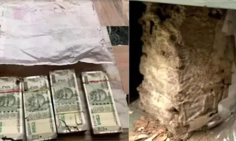 வங்கி லாக்கரில் சொத்து பத்திரத்தை அரித்த கரையான்: ரூ.1.60 லட்சம் நஷ்டஈடு