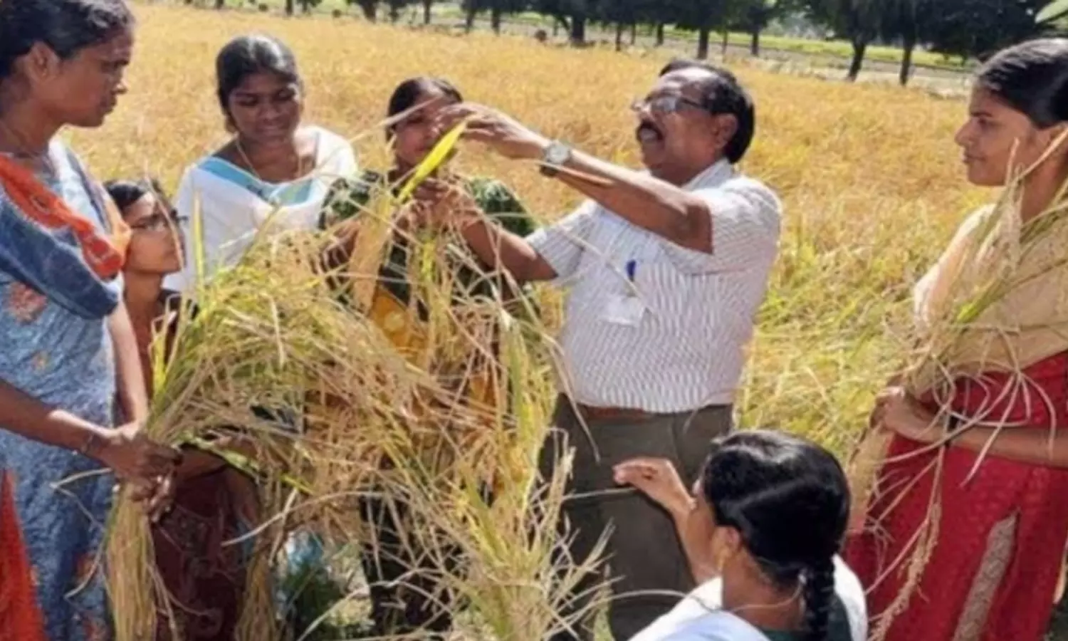 வேளாண், மீன்வள படிப்புகளில் சேர ஜூன் 6-ந்தேதி ஒரே விண்ணப்பம்