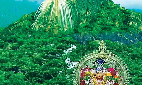 குன்று இருக்கும் இடமெல்லாம் குமரன் என்பதற்கேற்ப விளங்கும் தோரணமலை