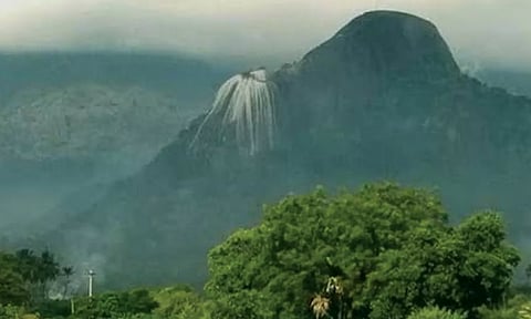 மூலிகை வனங்களின் தொகுப்பு - தோரணமலை