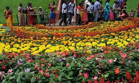 ஊட்டி தாவரவியல் பூங்காவில் தொடங்கிய மலர் கண்காட்சி-ஒரே நாளில் 14 ஆயிரம் பேர் பார்வையிட்டனர்