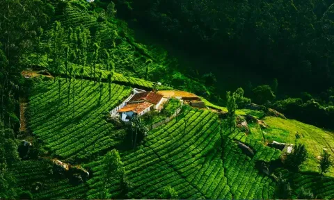 6 நாட்களில் 1,03,308 வாகனங்களுக்கு இ-பாஸ்: நீலகிரி மாவட்ட நிர்வாகம்