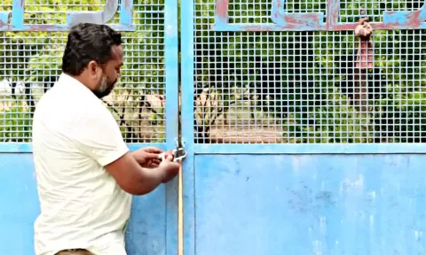 சிவகாசியில் விதிகளை மீறி பட்டாசு தயாரிப்பு:அதிகாரிகள் நடவடிக்கை