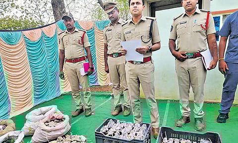 ஒய்.எஸ்.ஆர். காங்கிரஸ் நிர்வாகிகள் வீட்டில் வெடிகுண்டுகள் பறிமுதல்