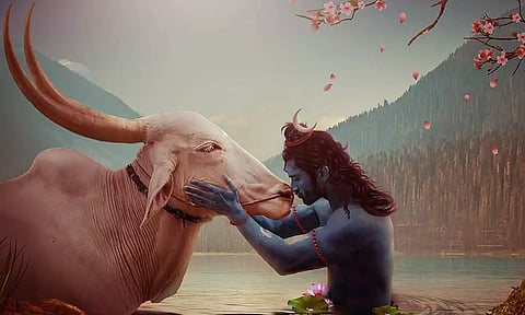 காளை மாட்டை அடித்து விரட்டியதால் வந்த வினை