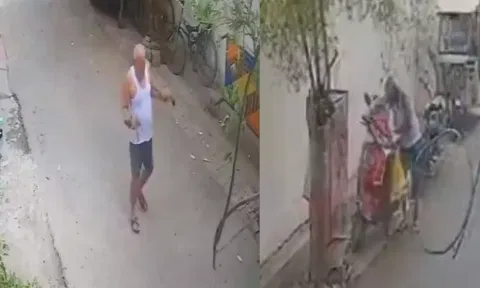 2 நாய்க்குட்டிகளை கொலை செய்த முதியவர் - சிசிடிவி காட்சியின் அடிப்படையில் போலீசார் விசாரணை