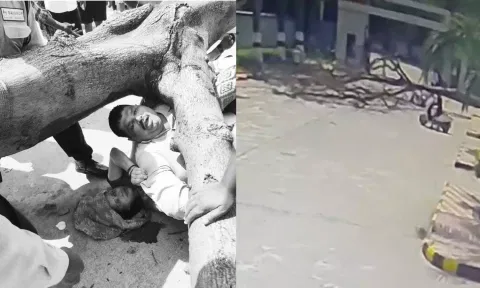 பைக்கில் வந்த தம்பதி மீது மரம் முறிந்து விழுந்து விபத்து: சம்பவ இடத்திலேயே கணவர் உயிரிழப்பு