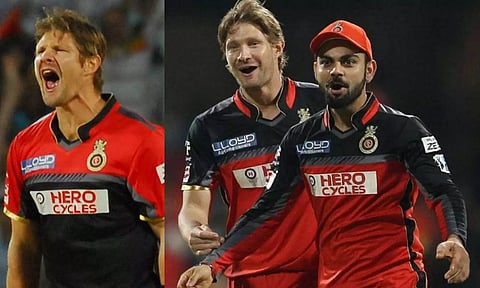 ஐபிஎல் கோப்பையை பெங்களூரு அணி ஜெயிக்காததற்கு நான்தான் காரணம்- ரசிகர்களிடம் மன்னிப்பு கேட்ட வாட்சன்