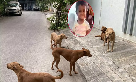 தெருநாய் கடித்து குதறிய 4 வயது சிறுமி உயிரிழப்பு